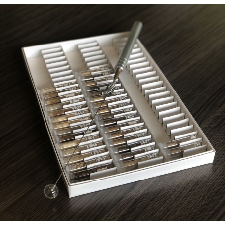 Advies paddenstoelenmeting humaan