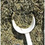 Groene Thee Sencha
