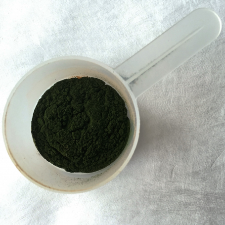 Chlorella