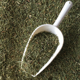 Heermoes (Schaafstro)