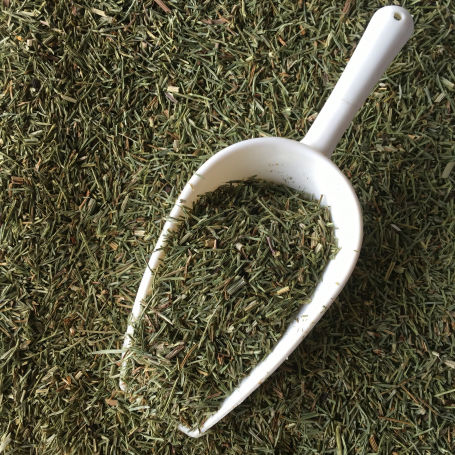 Heermoes (Schaafstro)